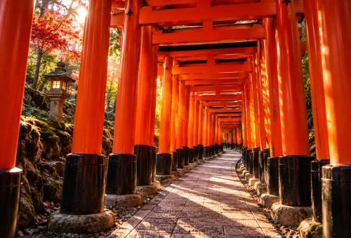 Vermilion_torii_tunnel_at_golden_hour_under2mb