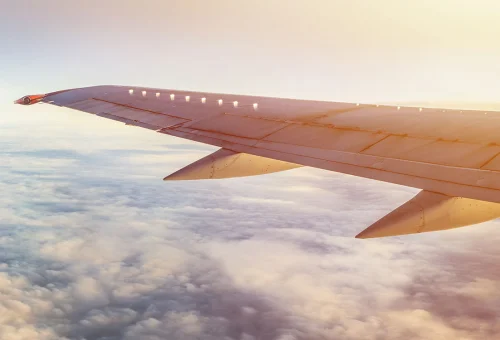 flight