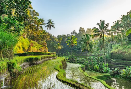 Bali