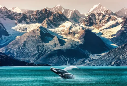 Alaska