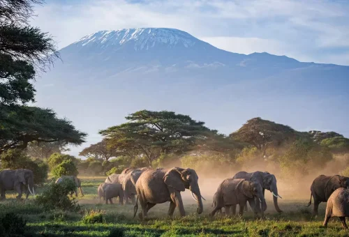 Africa