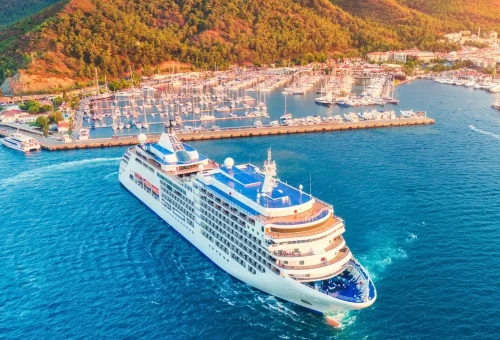 cruise
