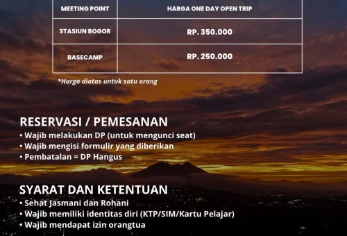 IMG 20260725 WA0005