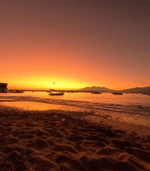 WhatsApp Image 2025-03-17 at 3.28.50 AM