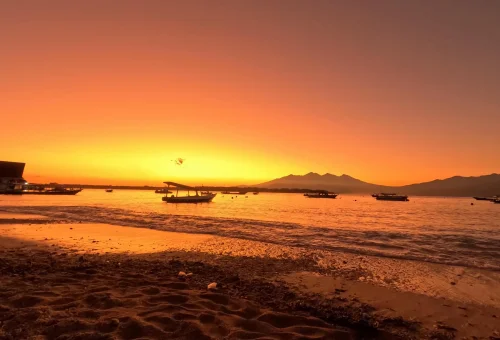 WhatsApp Image 2025-03-17 at 3.28.50 AM