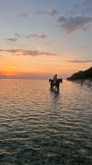 WhatsApp Image 2025-03-17 at 3.11.10 AM