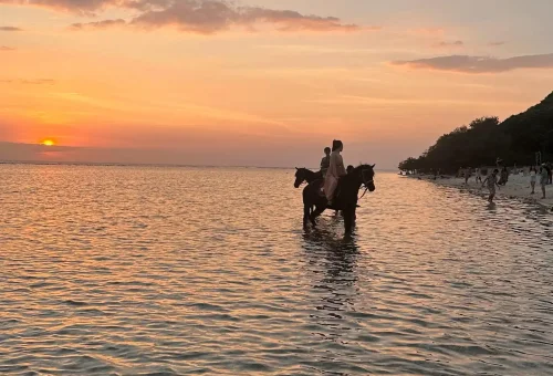 WhatsApp Image 2025-03-17 at 3.11.10 AM