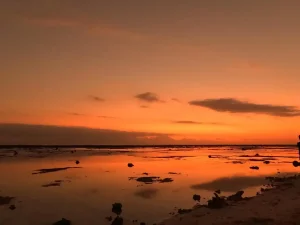 WhatsApp Image 2025-03-17 at 2.16.29 AM