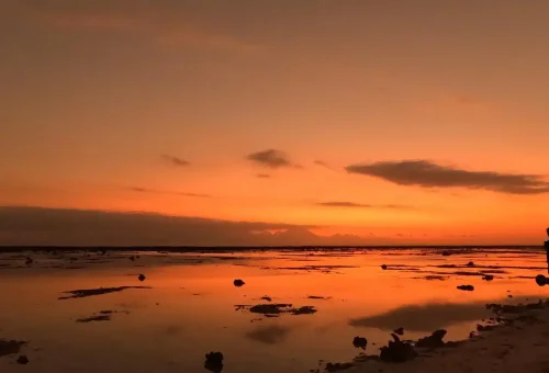 WhatsApp Image 2025-03-17 at 2.16.29 AM