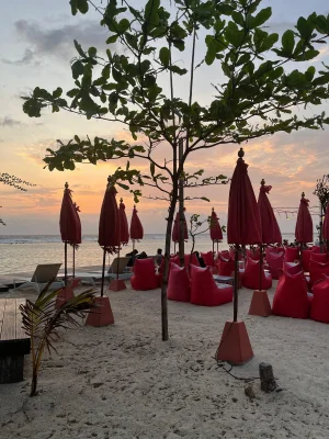 WhatsApp Image 2025-03-17 at 3.49.02 AM