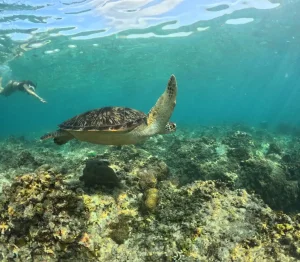 WhatsApp Image 2025-03-17 at 3.13.35 AM