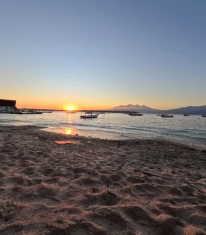 WhatsApp Image 2025-03-17 at 3.30.27 AM