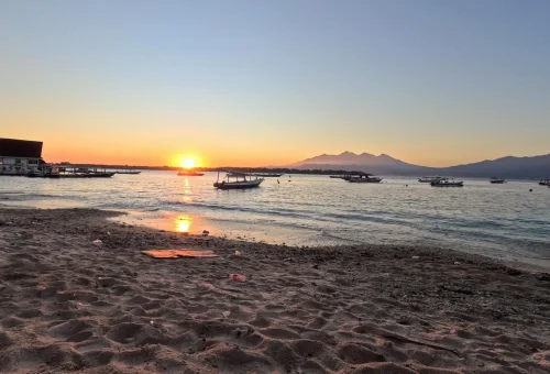 WhatsApp Image 2025-03-17 at 3.30.27 AM