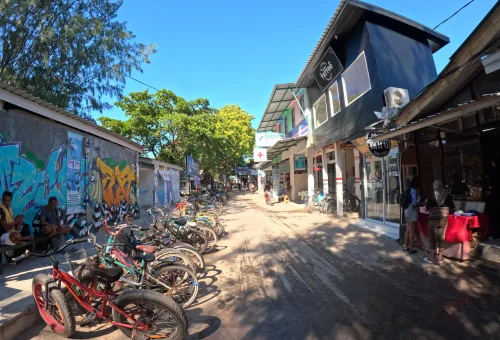 WhatsApp Image 2025-03-17 at 3.38.09 AM