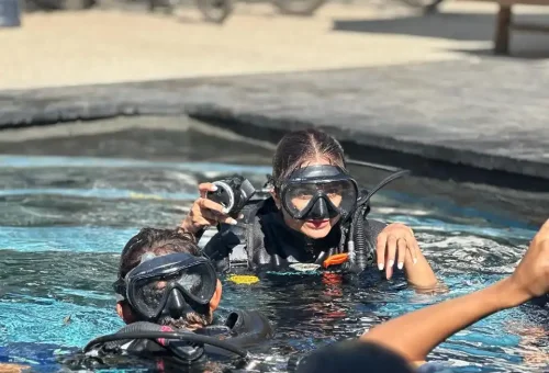 WhatsApp Image 2025-03-17 at 3.12.06 AM