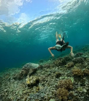 WhatsApp Image 2025-03-17 at 3.13.19 AM