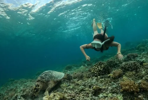 WhatsApp Image 2025-03-17 at 3.13.19 AM