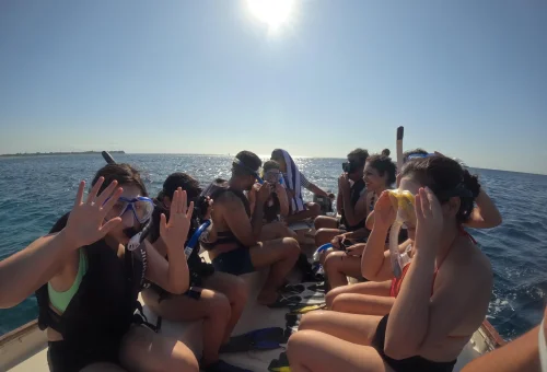 WhatsApp Image 2025-03-17 at 3.31.11 AM