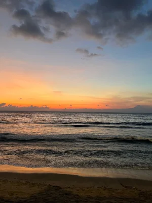 WhatsApp Image 2025-03-21 at 2.05.28 PM (1)