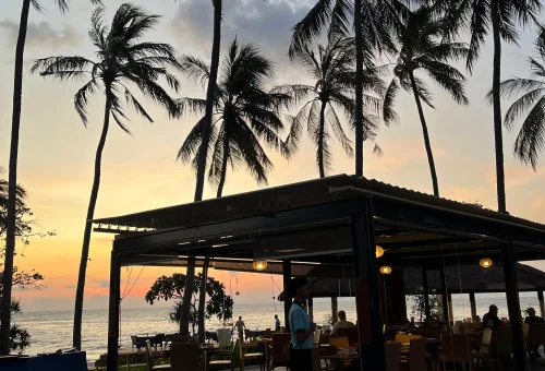 WhatsApp Image 2025-03-17 at 3.53.35 AM