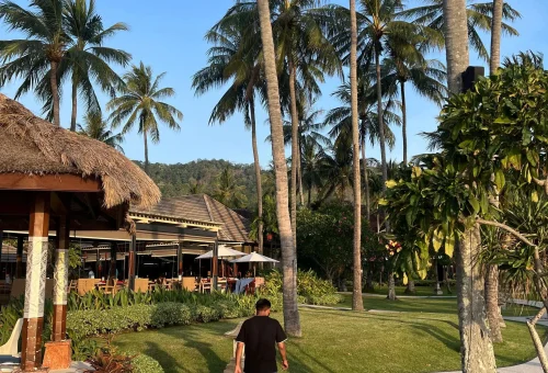 WhatsApp Image 2025-03-21 at 20528 PM (2) (1)