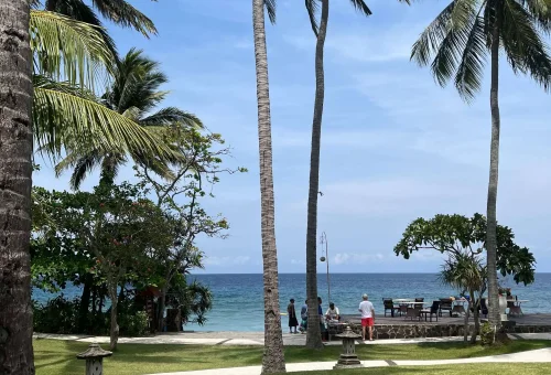 WhatsApp Image 2025-03-21 at 20630 PM