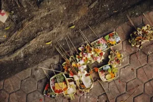 pexels-theplanetspeaks-9313851