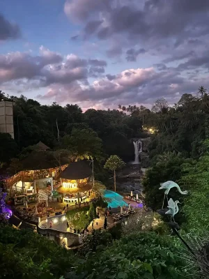 WhatsApp Image 2025-03-17 at 5.04.12 AM