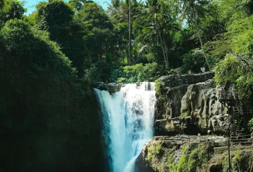 Pexels Adriendrj 17248670