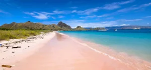 pexels-joyston-judah-331625-27682192