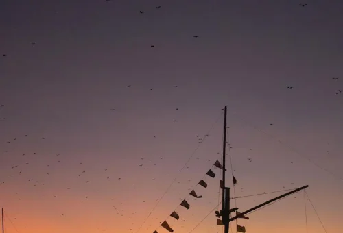 pexels-selpa-okta-prima-tysmayer-176520208-20261002