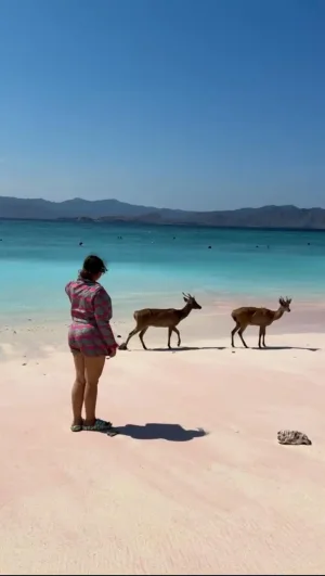 WhatsApp Image 2025-03-26 at 3.59.17 PM