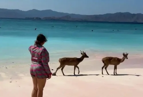 WhatsApp Image 2025-03-26 at 3.59.17 PM