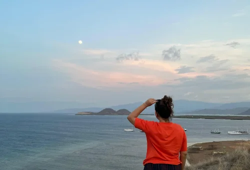 WhatsApp Image 2025-03-26 at 3.56.58 PM