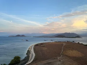 WhatsApp Image 2025-03-26 at 3.57.33 PM