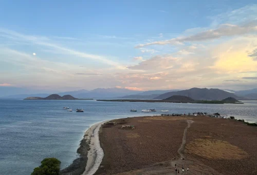 WhatsApp Image 2025-03-26 at 3.57.33 PM