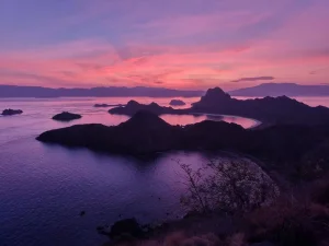 WhatsApp Image 2025-03-26 at 4.03.06 PM (1)