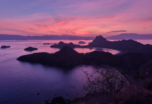 WhatsApp Image 2025 03 26 At 4.03.06 PM (1)