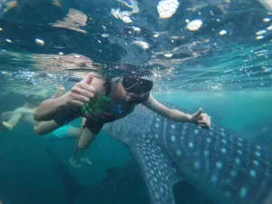 WhatsApp Image 2025-03-26 at 4.03.08 PM