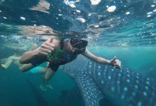 WhatsApp Image 2025-03-26 at 4.03.08 PM