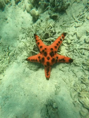 WhatsApp Image 2025-03-26 at 4.03.08 PM (3)