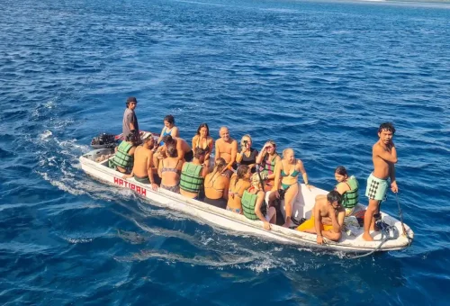 WhatsApp Image 2025-03-26 at 3.52.35 PM