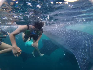 WhatsApp Image 2025-03-26 at 4.03.06 PM (3)