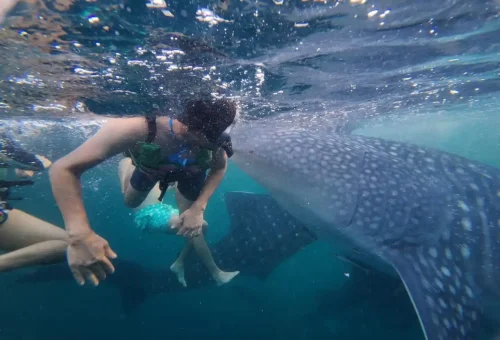 WhatsApp Image 2025-03-26 at 4.03.06 PM (3)