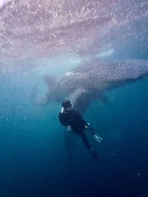 WhatsApp Image 2025-03-26 at 4.03.06 PM (4)