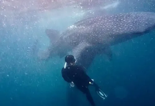 WhatsApp Image 2025-03-26 at 4.03.06 PM (4)