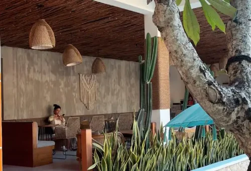 WhatsApp Image 2025-03-17 at 3.56.46 AM