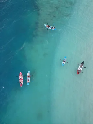 WhatsApp Image 2025-04-03 at 3.02.44 PM (1)