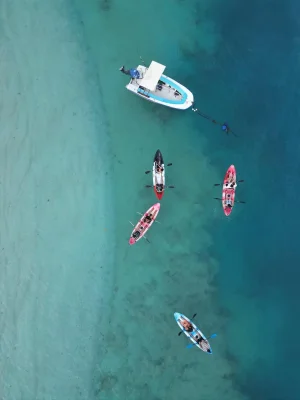 WhatsApp Image 2025-04-03 at 3.02.44 PM