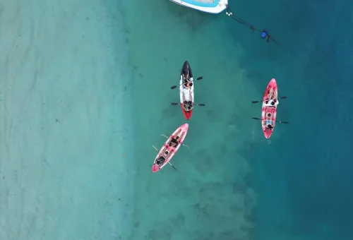 WhatsApp Image 2025-04-03 at 3.02.44 PM